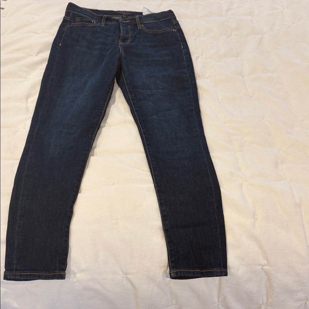Banana Republic Dark Blue Skinny Jeans